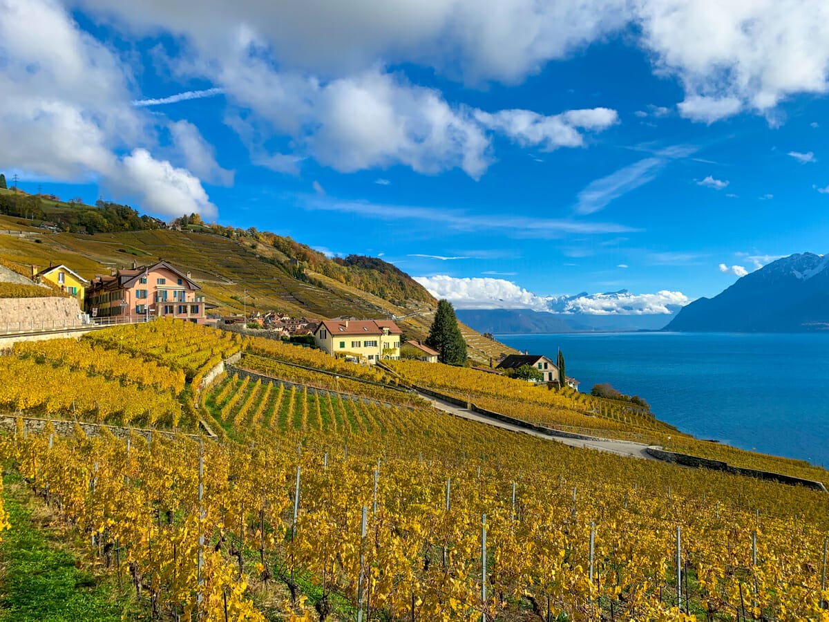 Vineyards of Lavaux in autumn, overlooking Lake Geneva, Switzerland