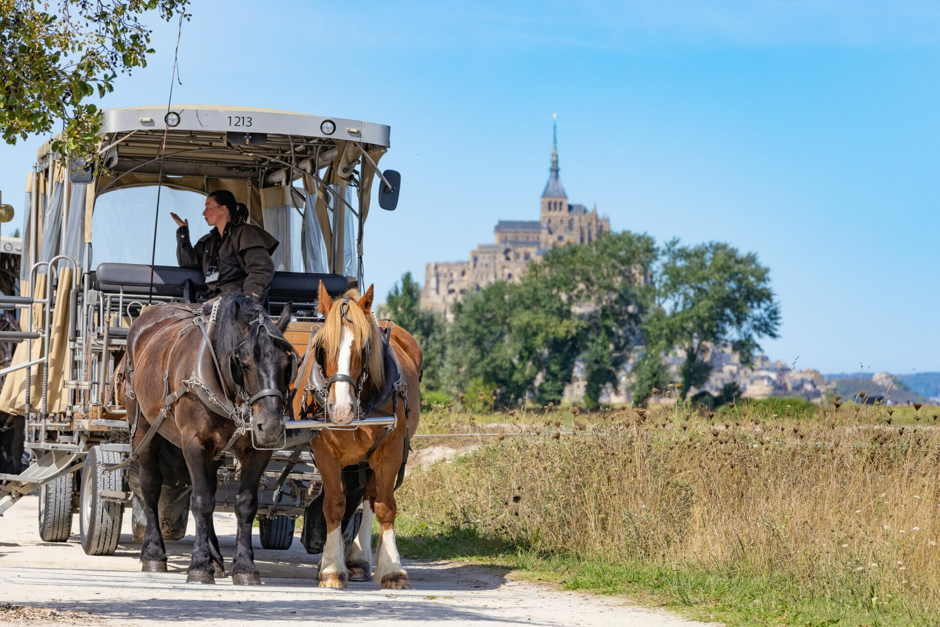 Horse drawn carriage also called Maringot at Mont Saint Michel