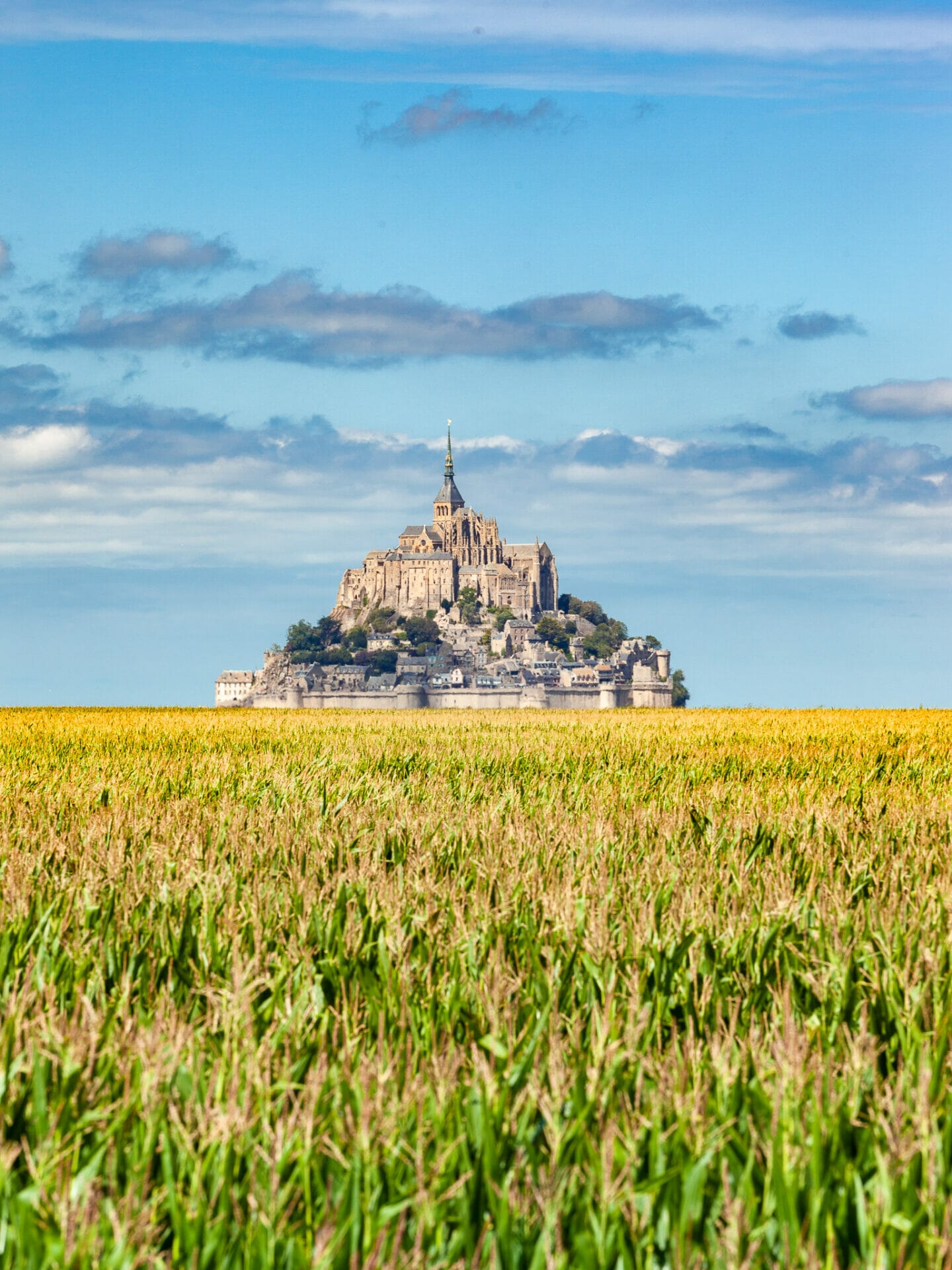 Mont Saint Michel on golden fields in the summer