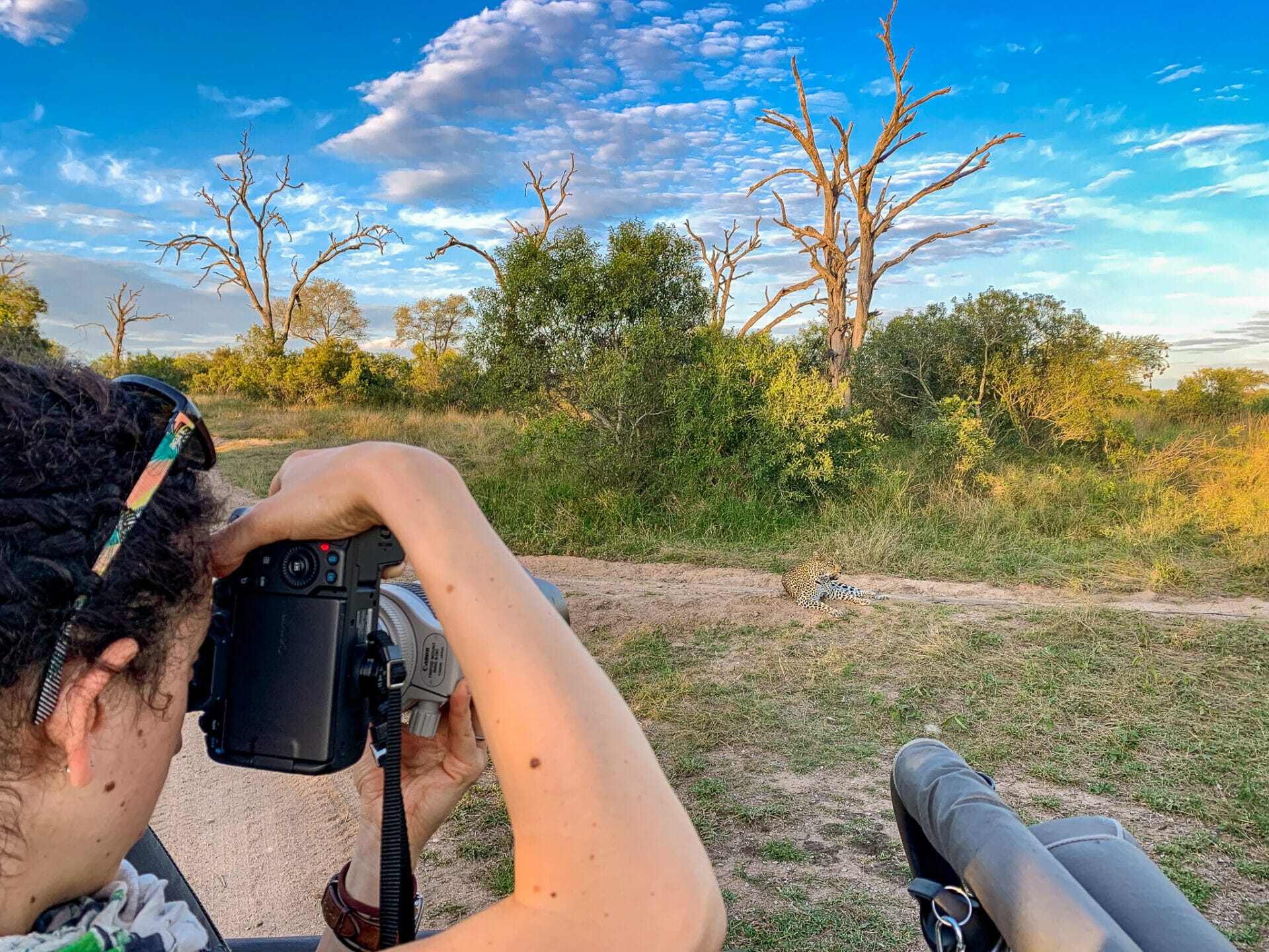 woman photographing Leopard at Sabie Sands private game reserve in South Africa travel photography